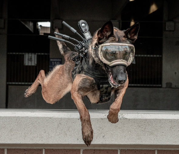 K9 Camera, Ghost, Mobile Ad Hoc Network Enabled