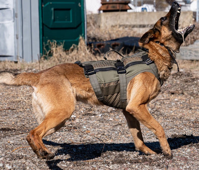 K9 Vest Tactical DTA