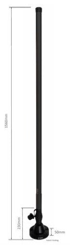 Dual-Band Antenna