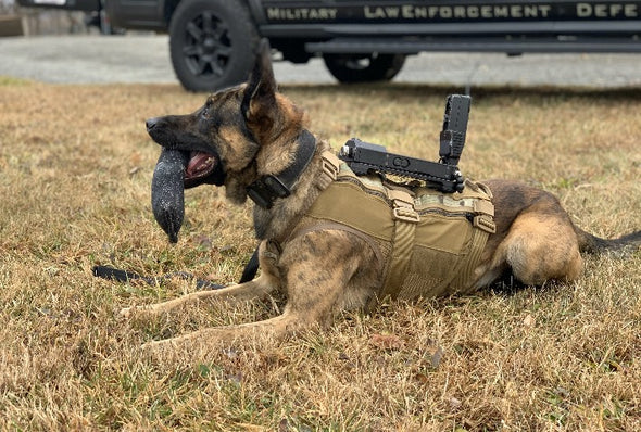 K9 Camera Kit, Waterproof, High Power Version 2