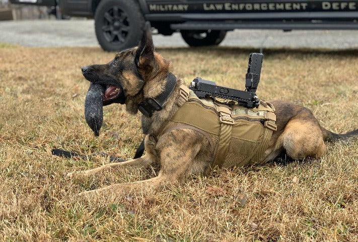 k9 tactical gear K9 Camera Kit, Waterproof, High Power Version 2 – Tactical Support Equipment