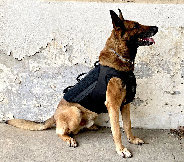 Recon Ballistic K9 Carrier NIJ Level IIIA