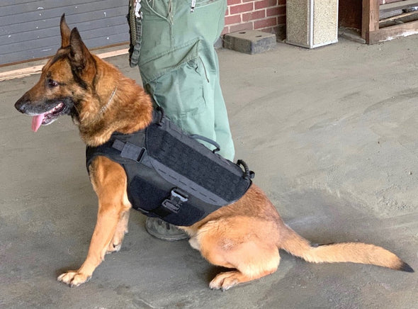 Recon Ballistic K9 Carrier NIJ Level IIIA